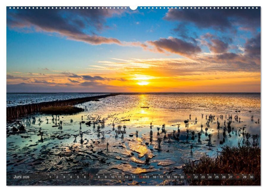 InsideView 10