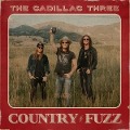 Cover-Bild zum Titel 'Country Fuzz' von 'The Cadillac Three'