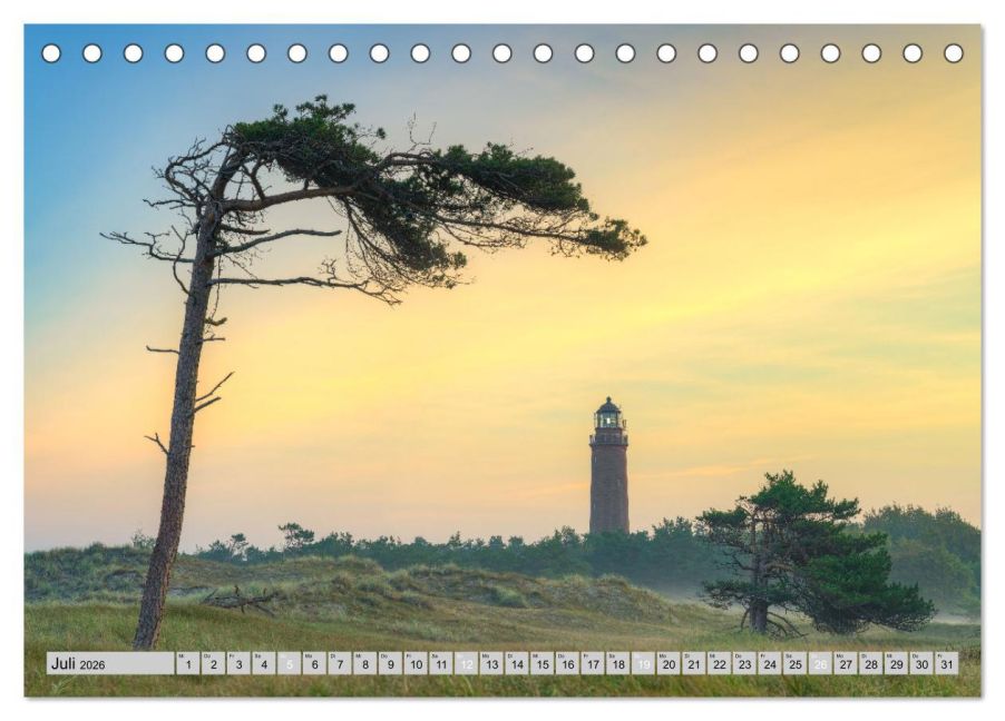 InsideView 12