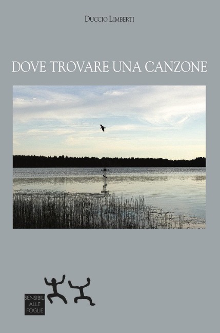 Dove trovare una canzone - Duccio Limberti