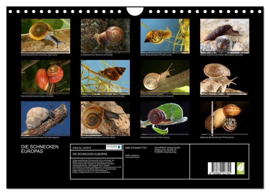 InsideView 5