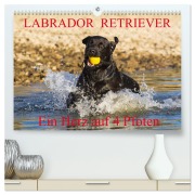 Cover-Bild zum Titel 'Labrador Retriever - ein Herz auf 4 Pfoten (hochwertiger Premium Wandkalender 2026 DIN A2 quer), Kunstdruck in Hochglanz' von ''