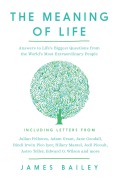 Cover-Bild zum Titel 'The Meaning of Life' von 'James Bailey'
