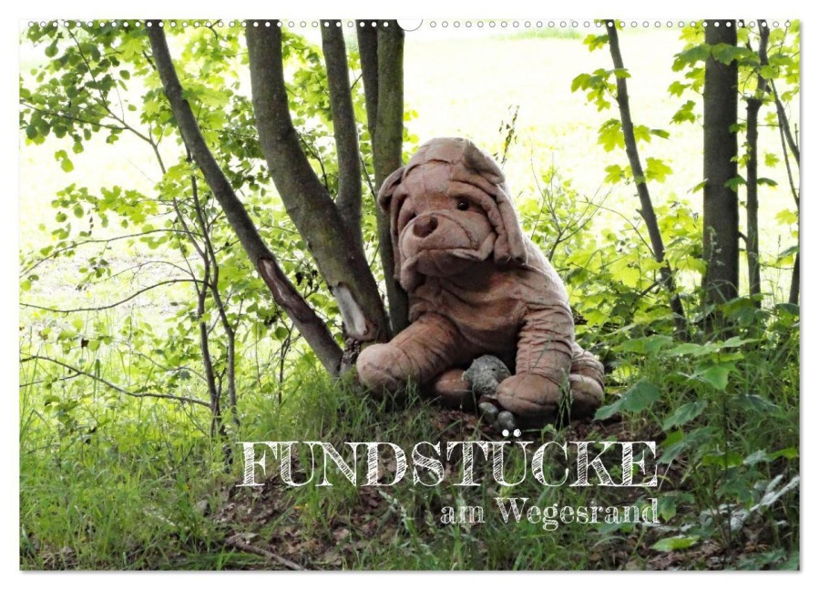FUNDSTÜCKE am Wegesrand (Wandkalender 2026 DIN A2 quer), CALVENDO Monatskalender - Angelika Keller