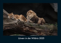 Cover-Bild zum Titel 'Löwen in der Wildnis 2025 Fotokalender DIN A4' von 'Tobias Becker'