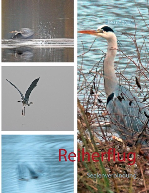 Reiherflug - Beate Hefler