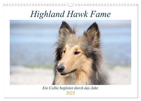 Highland Hawk Fame - Ein Collie begleitet durch das Jahr (Wandkalender 2025 DIN A3 quer), CALVENDO Monatskalender - Andreas Und Marina Zimmermann Fotografie Gbr