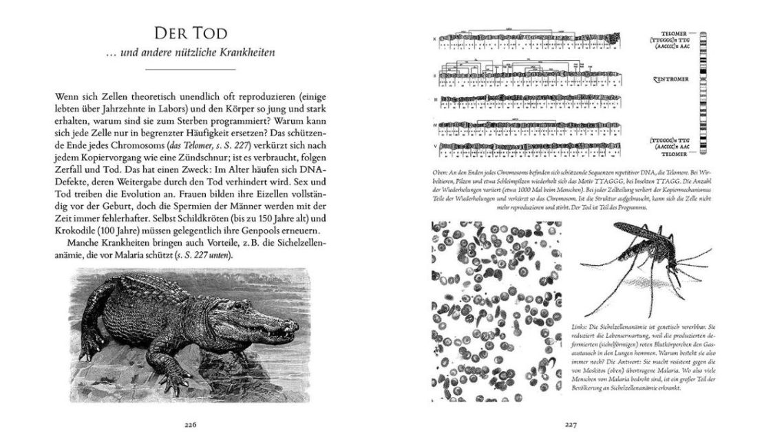 InsideView 2