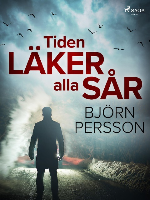 Tiden läker alla sår - Björn Persson