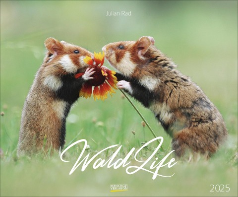 WaldLife 2025 - 