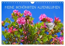 Meine schönsten Alpenblumen (Wandkalender 2026 DIN A4 quer), CALVENDO Monatskalender - Christa Kramer