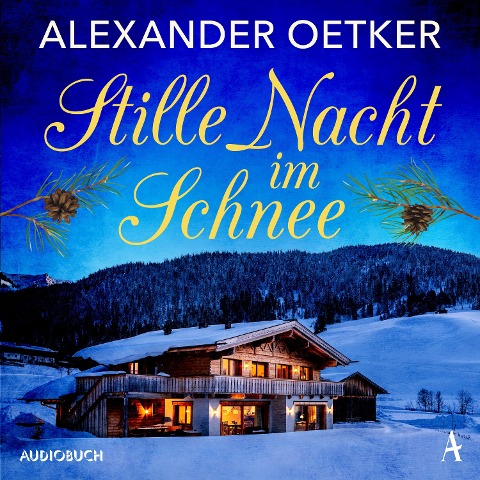 Stille Nacht im Schnee - Alexander Oetker