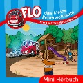 Cover-Bild zum Titel 'Streit auf dem Waldspielplatz' von 'Christian Mörken'