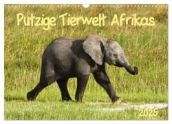 Putzige Tierwelt Afrikas (Wandkalender 2025 DIN A3 quer), CALVENDO Monatskalender - Nadine Haase