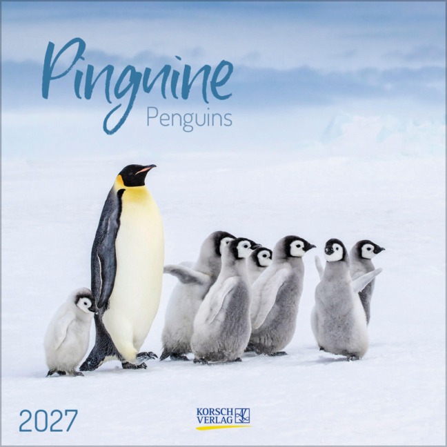 Pinguine 2027 - 