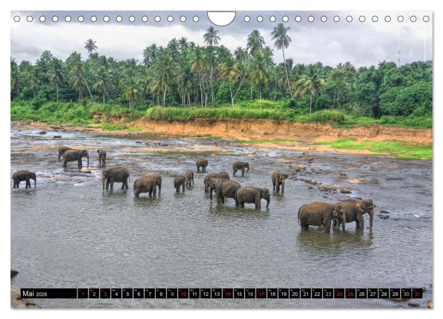 InsideView 10