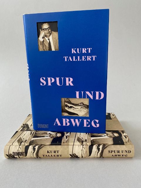 InsideView 1