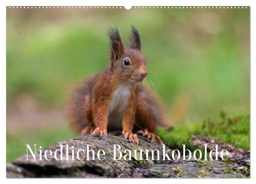 Niedliche Baumkobolde (Wandkalender 2027 DIN A2 quer), CALVENDO Monatskalender - Martin Wenner