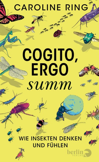 Cogito, ergo summ - Caroline Ring