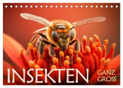 Cover-Bild zum Titel 'Insekten ganz gross (Tischkalender 2027 DIN A5 quer), CALVENDO Monatskalender' von 'Daniel Rohr'