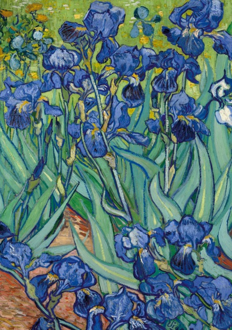 Notizbuch A5 blanko Softcover - 100 Seiten - Motiv Schwertlilien (Irises) Vincent van Gogh - 90g/m² - FSC Papier - Notizbuch A5, Notebook A5