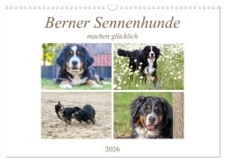 Cover-Bild zum Titel 'Berner Sennenhunde machen glücklich (Wandkalender 2026 DIN A3 quer), CALVENDO Monatskalender' von 'SchnelleWelten SchnelleWelten'