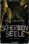 Scherbenseele - Erik Axl Sund