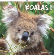 Cover-Bild zum Titel 'Koalas 2026 - Broschürenkalender 30x30 cm (30x60 geöffnet) - Kalender mit Platz für Notizen - koala bears - Bildkalender - Wandplaner - Bärenkalender' von ''