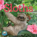 Original Sloths Wall Calendar 2025 - Lucy Cooke, Workman Calendars