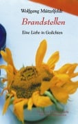 Cover-Bild zum Titel 'Brandstellen' von 'Wolfgang Mützelfeldt'