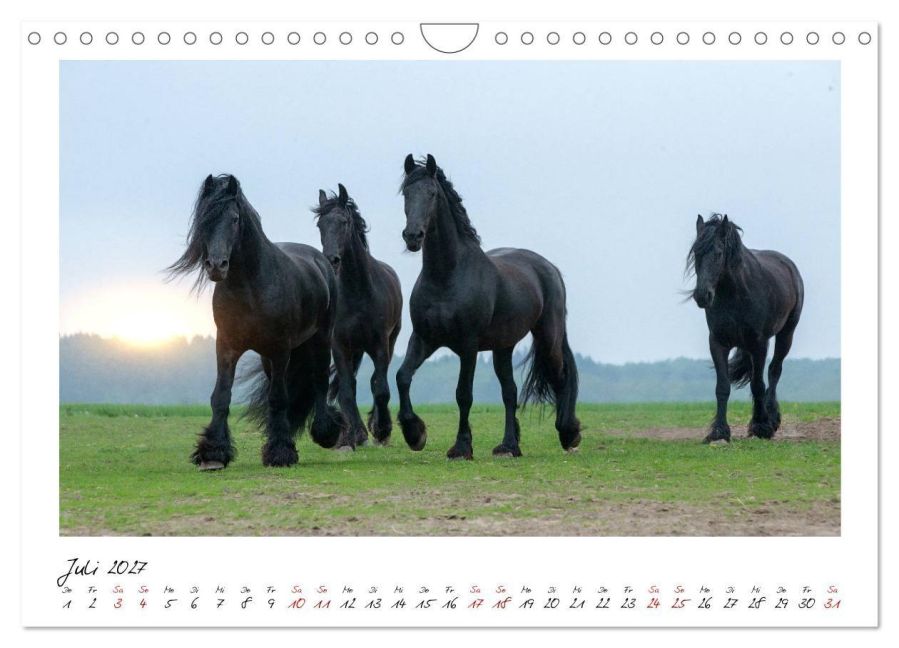 InsideView 12