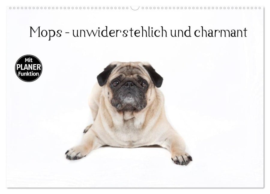 Mops - unwiderstehlich und charmant (Wandkalender 2026 DIN A2 quer), CALVENDO Monatskalender - Fotodesign Verena Scholze