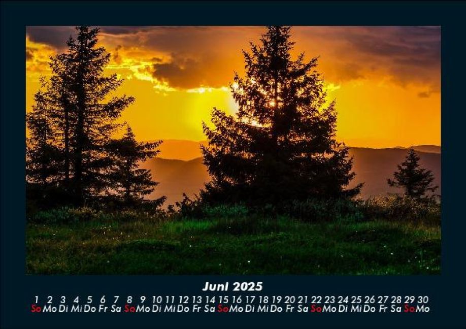 InsideView 10