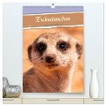Erdmännchen - Eine Kolonie in der Kalahari (hochwertiger Premium Wandkalender 2024 DIN A2 hoch), Kunstdruck in Hochglanz - Dorothea Früh