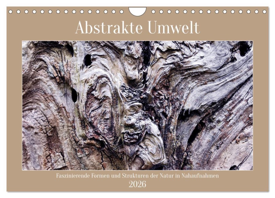 Abstrakte Umwelt (Wandkalender 2026 DIN A4 quer), CALVENDO Monatskalender - Stefan Weis