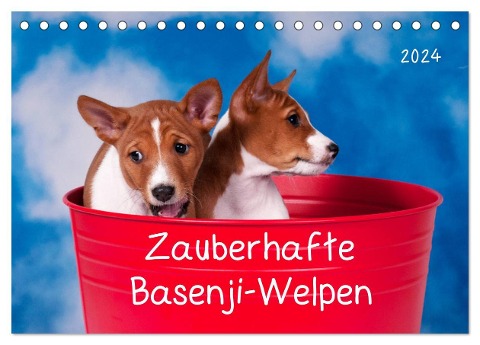 Zauberhafte Basenji-Welpen (Tischkalender 2024 DIN A5 quer), CALVENDO Monatskalender - Angelika Joswig