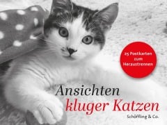Cover-Bild zum Titel 'Ansichten kluger Katzen' von ''