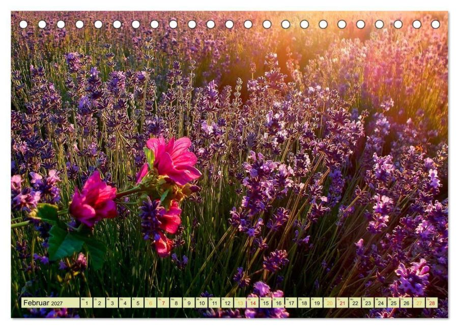 InsideView 7