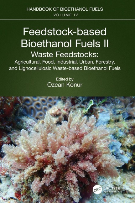 Feedstock-based Bioethanol Fuels. II. Waste Feedstocks - 