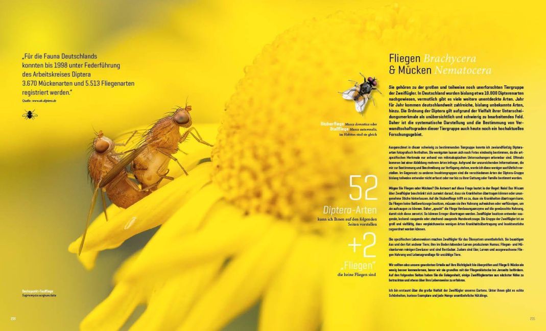 InsideView 15