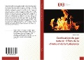 Cover-Bild zum Titel 'Combustion du gaz naturel : Effets de la chimie et de la turbulence' von 'Ridha Ennetta'