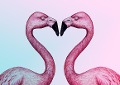 Cover-Bild zum Titel 'Making Love - Wie Beziehungen funktionieren' von 'Maria Lancaster'
