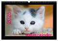 Katzenkinder (Wandkalender 2025 DIN A3 quer), CALVENDO Monatskalender - Michael Weirauch