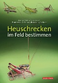 Cover-Bild zum Titel 'Heuschrecken im Feld bestimmen' von 'Jürgen Fischer, Daniela Steinlechner, Andreas Zehm, Dominik Poniatowski, Thomas Fartmann'