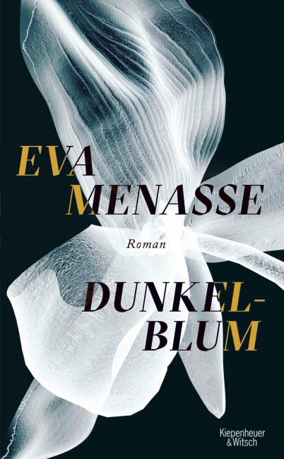 Dunkelblum - Eva Menasse