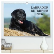 Cover-Bild zum Titel 'Labrador Retriever 2026 (hochwertiger Premium Wandkalender 2026 DIN A2 quer), Kunstdruck in Hochglanz' von 'Sigrid Starick'