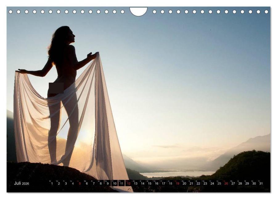 InsideView 12