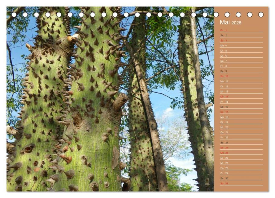 InsideView 10