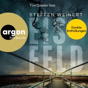 Cover-Bild zum Titel 'Eisfeld - Dunkle Enthüllungen' von 'Steffen Weinert'