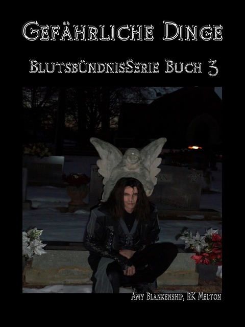 Gefährliche Dinge (Blutsbündnis-serie Buch 3) - Amy Blankenship